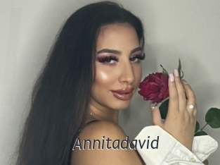 Annitadavid
