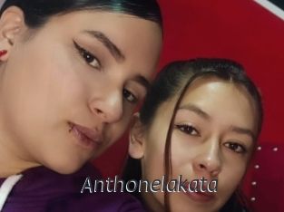 Anthonelakata