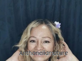 Anthonellamature