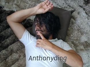 anthonyding Ligne Rose