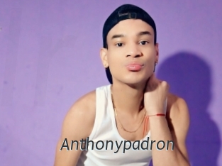 Anthonypadron
