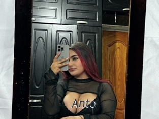 Anto