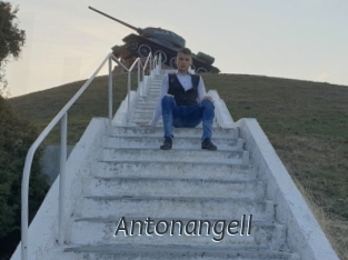 antonangell Ligne Rose