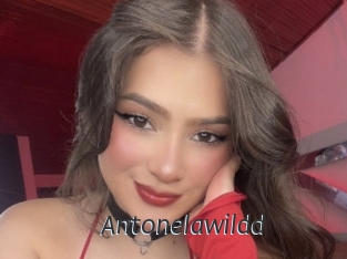 Antonelawildd