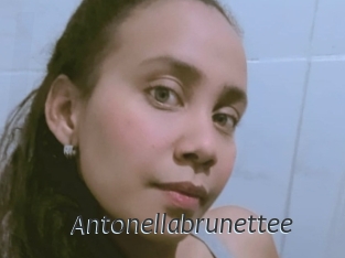 Antonellabrunettee