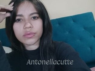 Antonellacutte