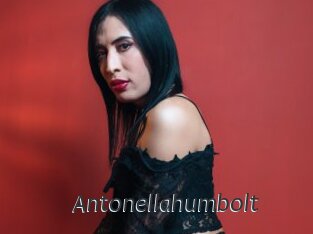 Antonellahumbolt
