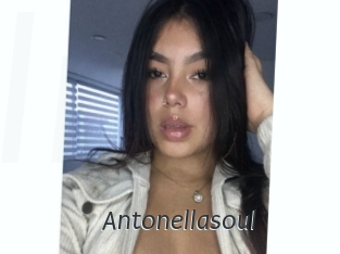 Antonellasoul