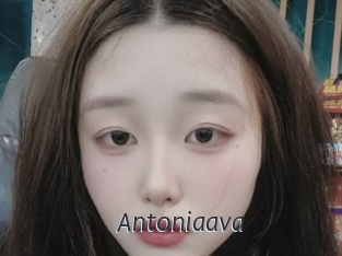 Antoniaava