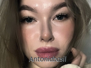 Antoniabasil