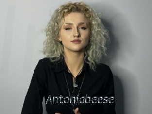 antoniabeese Ligne Rose