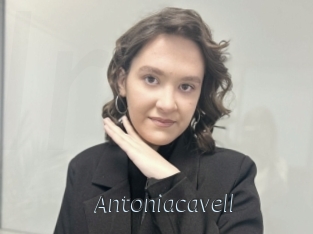 Antoniacavell