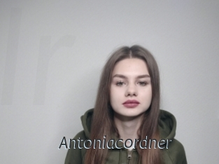 Antoniacordner