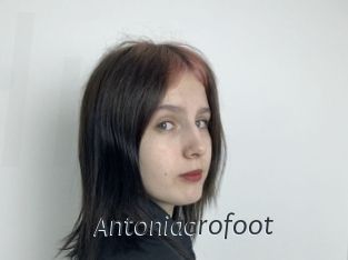 Antoniacrofoot