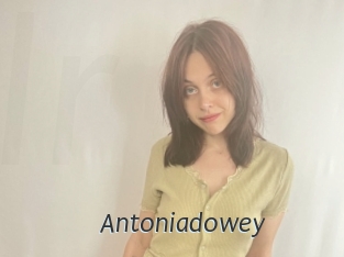 antoniadowey Ligne Rose