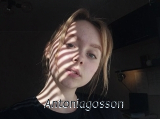 Antoniagosson