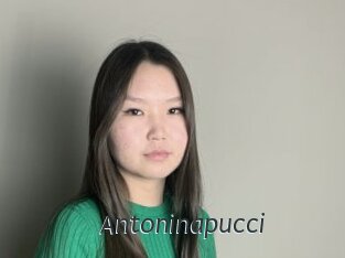 Antoninapucci
