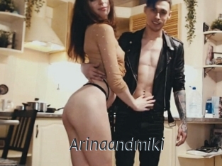Arinaandmiki