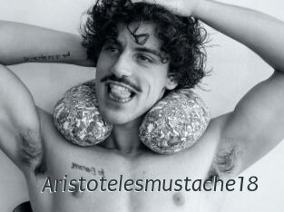 Aristotelesmustache18
