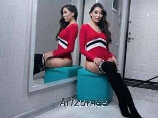 Arizumee