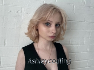 Ashleycodling