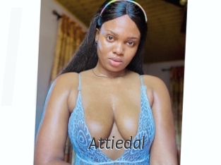 Attiedal
