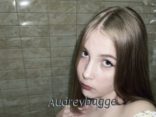 Audreybagge