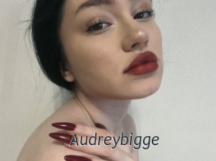 Audreybigge