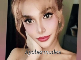 Ayabermudes