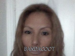BANDACOOT