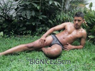 BIGNICE25cm