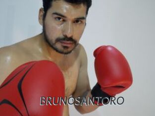 BRUNOSANTORO