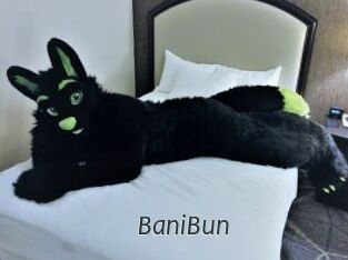 BaniBun