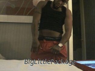 BigLittlePackage