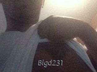 Bigd231