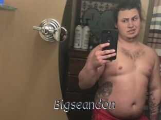 Bigseandon