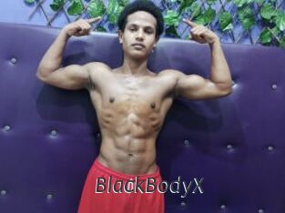 BlackBodyX