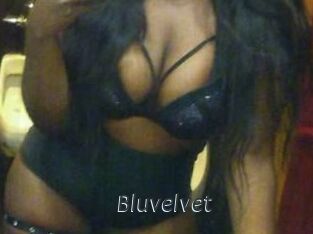 Bluvelvet