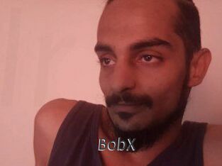 BobX