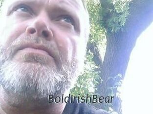 BoldIrishBear
