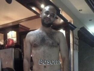 Bosom