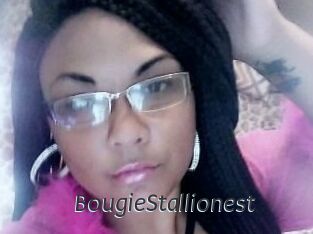 BougieStallionest