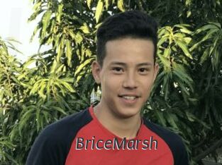 BriceMarsh