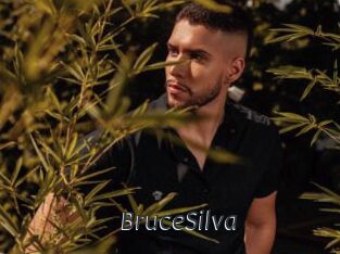 BruceSilva