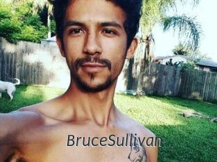 Bruce_Sullivan