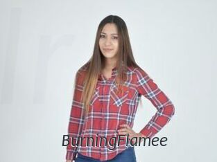 BurningFlamee