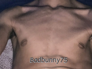 Badbunny75