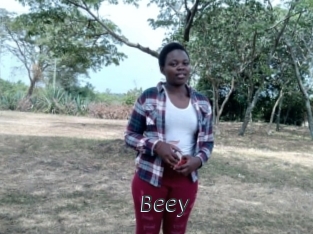 Beey