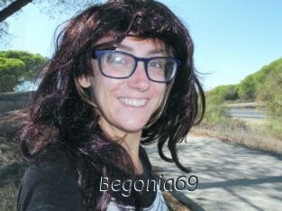 Begonia69