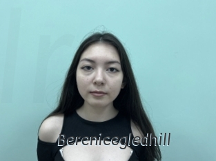 berenicegledhill Ligne Rose